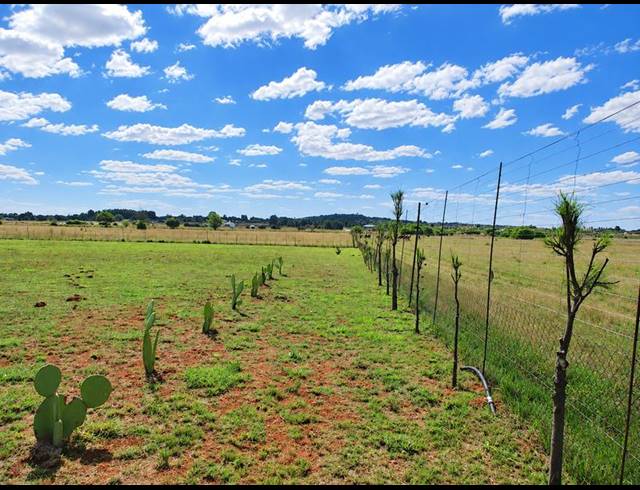 LAND FOR SALE IN GROENVLEI
